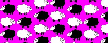 Sheep Dream Pink