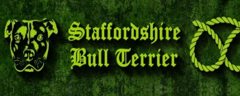 Staffordshire Bull Terrier Green