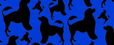 Obojek Portugal Modrý