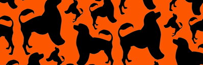 Obojek Portugal oranžový