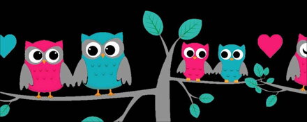Owl Love
