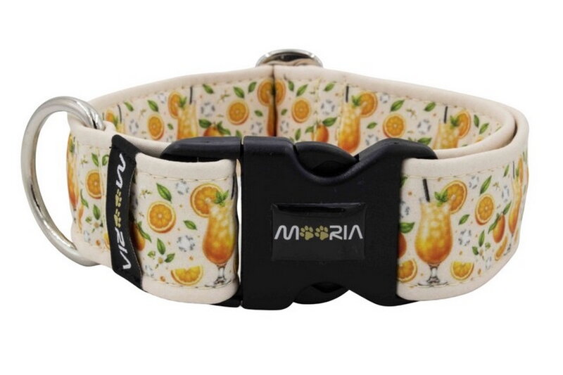 Obojek Citrus Fiesta