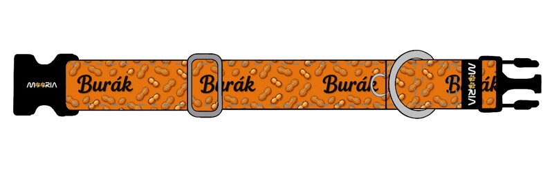 Obojek s vlastním vzorem CZ26082001