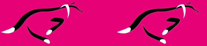Obojek Tachyon Magenta