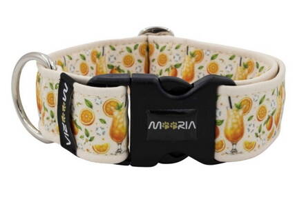 Obojek Citrus Fiesta