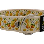 Obojek Citrus Fiesta