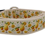 Obojek Citrus Fiesta