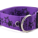 Obojek Stars