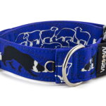 Obojek Border Collie Life Blue
