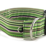 Obojek Casual Green
