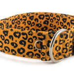 Obojek Jaguar