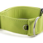 Obojek Lime Green