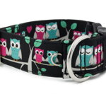 Obojek Owl Love