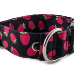 Obojek Raspberries