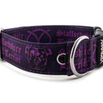 Obojek Staffordshire Bull Terrier Violet