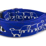 Obojek Border Collie Life Blue