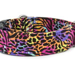 Obojek Crazy Tiger