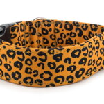 Obojek Jaguar