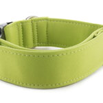 Obojek Lime Green