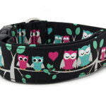 Obojek Owl Love