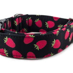 Obojek Raspberries