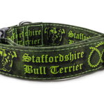 Obojek Staffordshire Bull Terrier Green