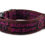 Obojek Staffordshire Bull Terrier Pink