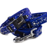 Obojek Border Collie Life Blue