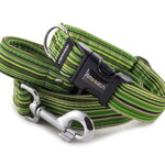 Obojek Casual Green