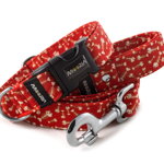 Obojek Fishbone Red