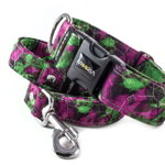 Obojek Purple Green Mood