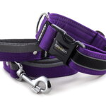 Obojek Reflex Fuchsia Violet II