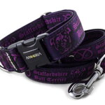 Obojek Staffordshire Bull Terrier Violet