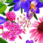 Obojek Floral Fiesta