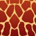 Vodítko Giraffe