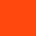 Obojek Neon Orange