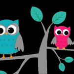 Vodítko Owl Love