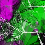 Obojek Purple Green Mood