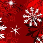 Obojek Snowflakes